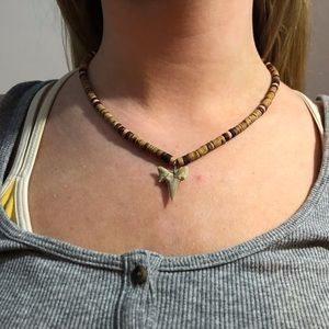 shark tooth necklace